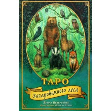 Tarot of enchanted forest (78 cards and a guide for working with a deck in a gift design)
