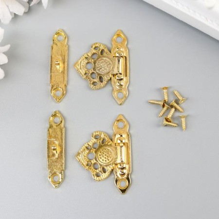 Castle Metal for the casket "Pattern" gold set 2 pcs 2.3x3.3 cm-2