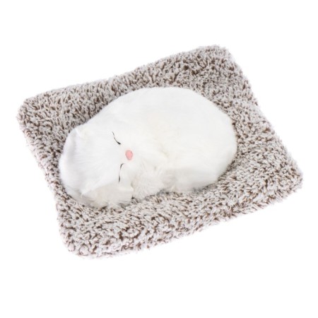 Toy on a car panel, a cat on a pillow, white color