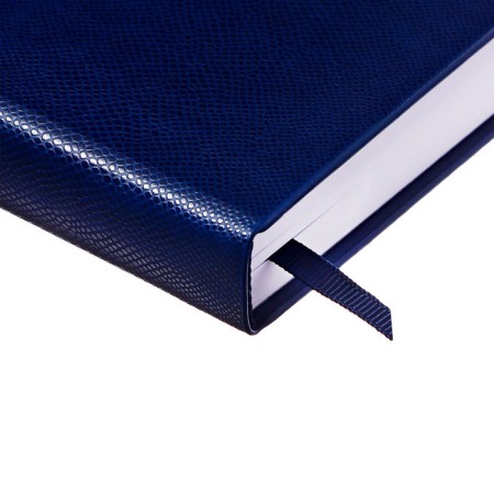 Dated diary of 2025, A6+, 176 sheets "Lyon", solid cover, pancake embossing, with liesa, block 80 g/m2, blue-2