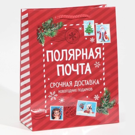 Laminated vertical "Polar Mail", MS 18 x 23 x 8 cm, New Year-2
