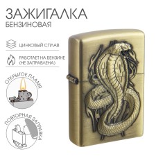 Lighter gasoline symbol of the year 