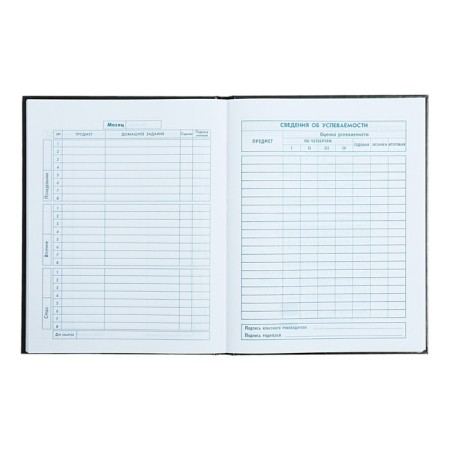 School diary for grade 1-4, 48 sheets "Racing", hard cover, glossy lamination, universal cheat sheet, block 65 g/m2-8