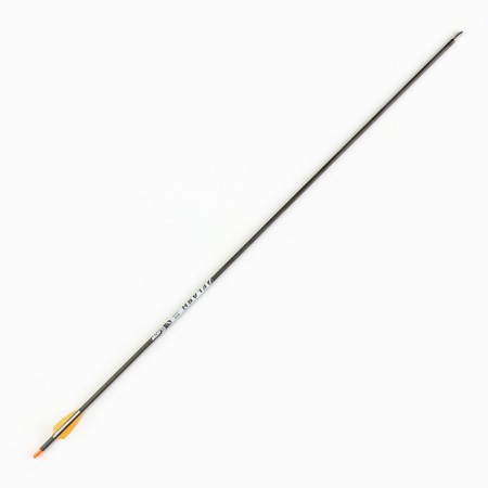 Arrow of Luchnaya, carbon, sports "Centershot Flash 400" Open SHIELD 2 "76 cm