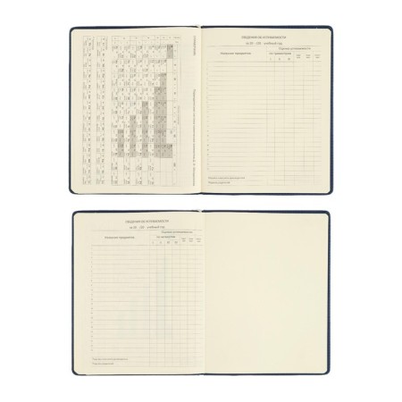 Universal diary for grades 1-11 Dark Blue, hard cover, artificial leather, elastic band, lies, 48 ​​sheets-10