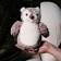 Soft toy "owl", 20 cm, light gray color