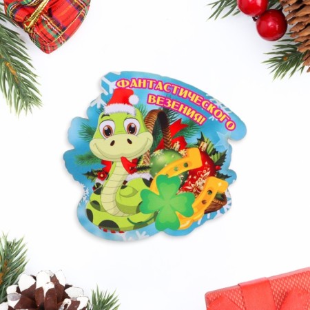 New Year's magnet "Fantastic luck!" symbol of the year, coins