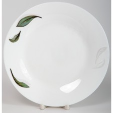 OLAFF plate 
