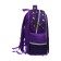 Backpack frame Phoenix 37.5*27.5*14.5 "Magic Cat" girl Violet 64618