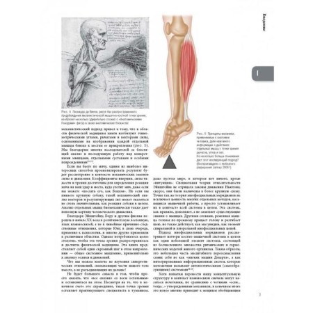 Anatomical trains. 3 edition. Mayers T.-6