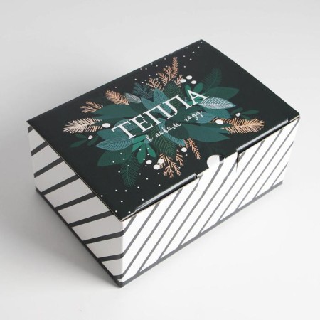 Folding box "heat", 22 x 15 x 10 cm, new year-2