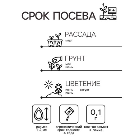 Lichnis seeds "Zorka", 0.1 gr.-1