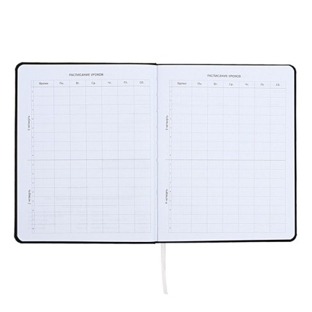 Universal diary for grade 1-11 I’m fine, integral cover, artificial leather, silkography, lies, 80 g/m2-4