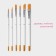 A set of confectionery brushes for decorating the Larson Dolyan, 6 pcs