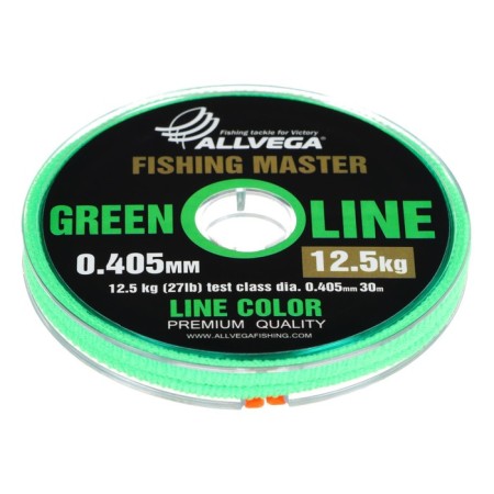 Monophile Fine Allvega Fishing Master, diameter 0.405 mm, test 12.5 kg, 30 m, green