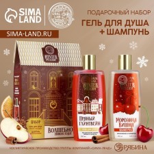 Gift set of cosmetics, shower gel 250 ml and hair shampoo 250 ml, Winter Melody by Ural Lab