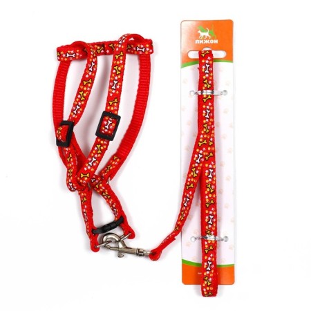 Set "Star Bones", leash 120 x 1 cm, og 23-35 cm, red-6
