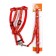 Set "Star Bones", leash 120 x 1 cm, og 23-35 cm, red