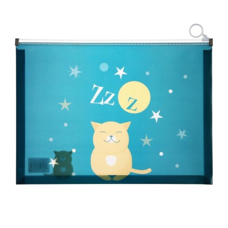 Lightning folder A4 format, 180 mkr, transparent with the pattern "Cat", mix-3