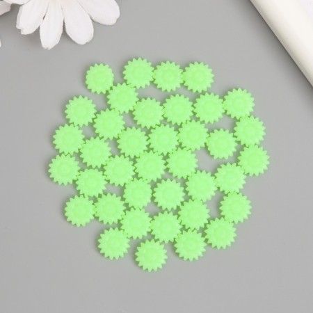 Surgut in granules luminous "green flowers" 100 capsules-2