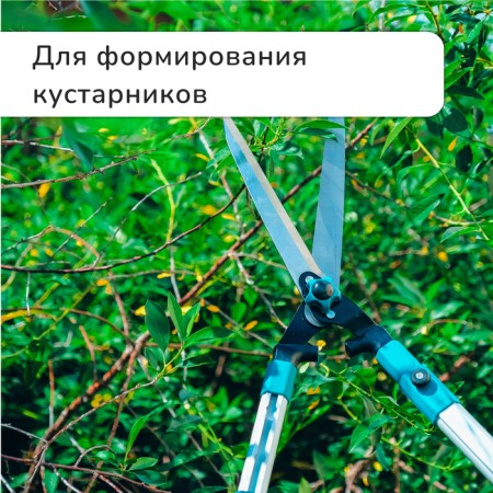 Kustorez, 31–44.5 "(79–113 cm), telescopic, with metal handles, Greengo-1