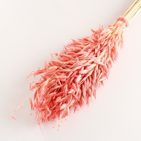 Set of dried flowers "oats", banch length 55-65 (+/- 6 cm), peach-2