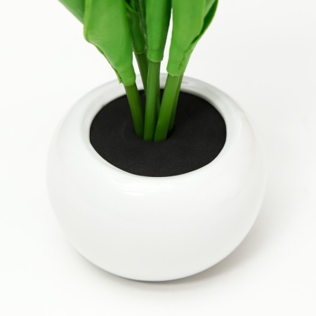 Spinker "White Tulips" LED 1.2W 4000k white 9x9x25cm Risalux-3