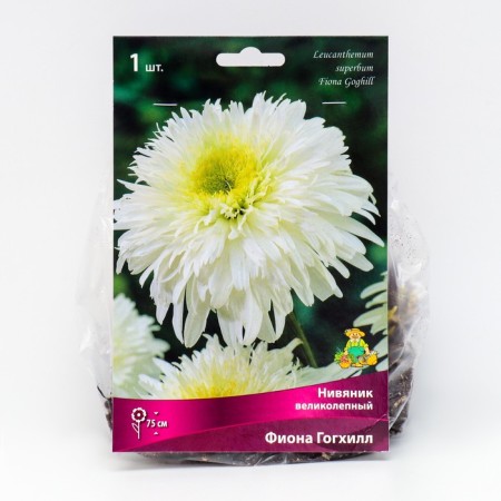 Nyvynik "Magnificent Fiona Goghill", 1 pc, rr I, spring 2025