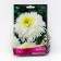 Nyvynik "Magnificent Fiona Goghill", 1 pc, rr I, spring 2025