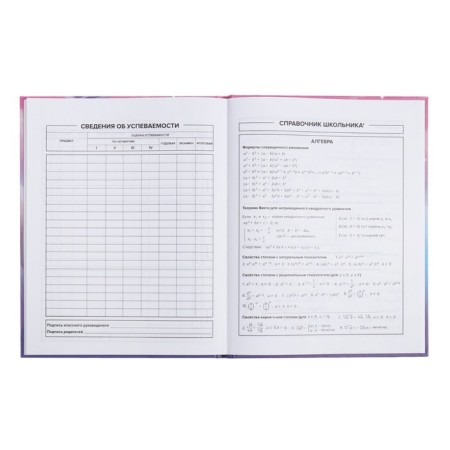 School diary for grades 1-11, 48 sheets "Alice", hard cover, selective pearl varnish, foil embossing, matte lamination, universal cheat sheet, block 65g/m2-8