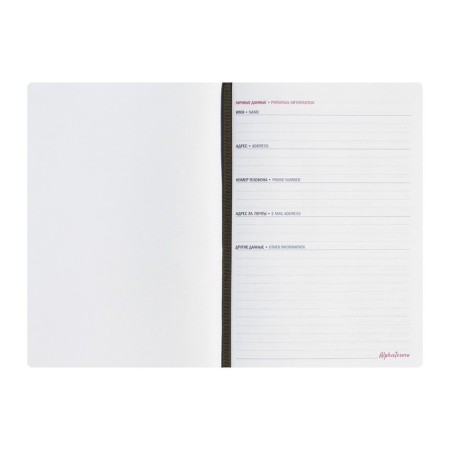 Delivery of Leduced A5, 144 sheets "Courage", hard binding with foam rubber, artificial leather, pancake embossing, white offset 80 g/m², green-4