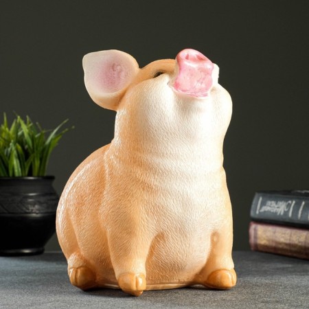 Pigger "Sedenty pig" 21x14x16 cm-1