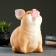 Pigger "Sedenty pig" 21x14x16 cm