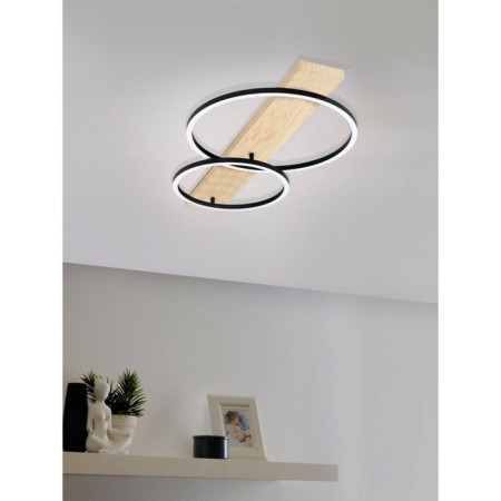 Boyal lamp, 2x12W LED, 3000K, 3400LM, tree color, black-1