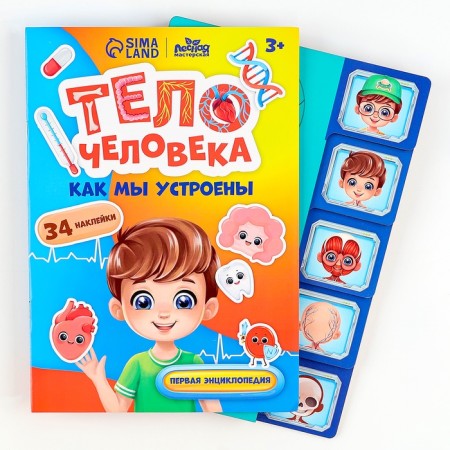 The training set "Human Body", a frame-laying frame and a book with stickers-4