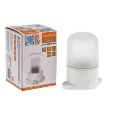 The lamp wall-flowing TDM NPB400P 