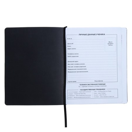 Universal Diary Grade 1-11, 48 sheets "graffitist", covering of artificial leather, liesa, offset block-3
