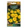 Seeds of Tsinnia Flowers "Polopolino" yellow, c/n, 12 pcs