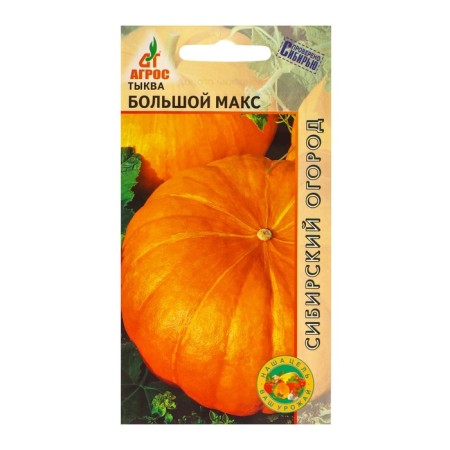 Big Max pumpkin seeds 3pcs*