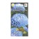 Seeds of Flowers Astra Annual "Zilber Tourm", 0.2 g