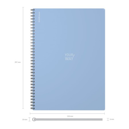 A4 notebook 80 sheets, a cage on a spiral, Erichkrause, "Symbol" Plastic Cover Blue-4