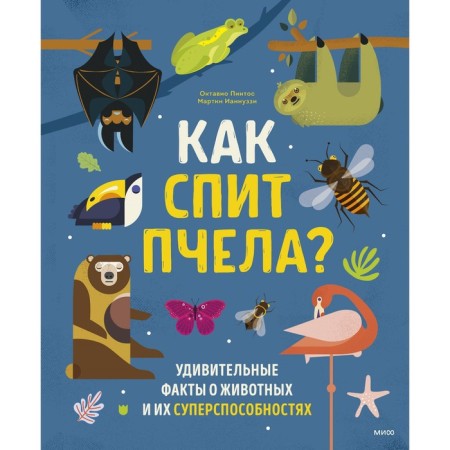 How does a bee sleep? Amazing facts about animals and their superpowers. Octavio P., Martin I.