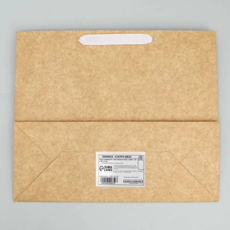 Craft packet with a plastic window "Winter", 24 x 20 x 11cm, New Year-6