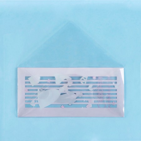 The envelope for the money "Magic Wedding Day!" Transparent PVC, 16 x 8 cm-2