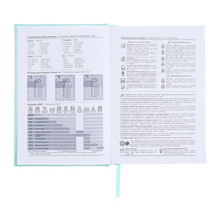 Dated 2025 diary, A5, 176 sheets of Escalada, a solid cover of artificial leather with foam rubber, pancake embossing, liesse, block 70 g/m2, green-8