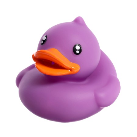A set of swimming toys “Catch a duck”, 1 net on a suction cup, 3 ducks, color mix-8