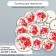 Button decorative tree "Bouquet of roses" 2.5x2.5 cm