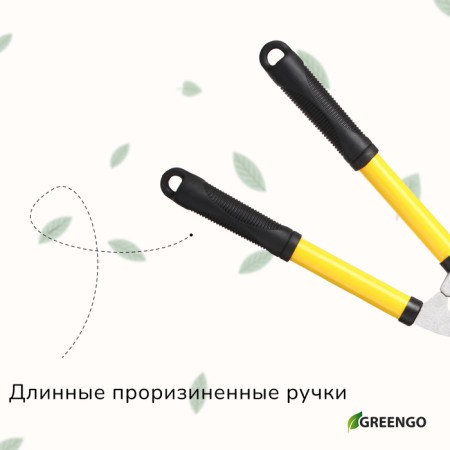 Kustorez, 21.5 "(55 cm), with rubber pens, with a case-5