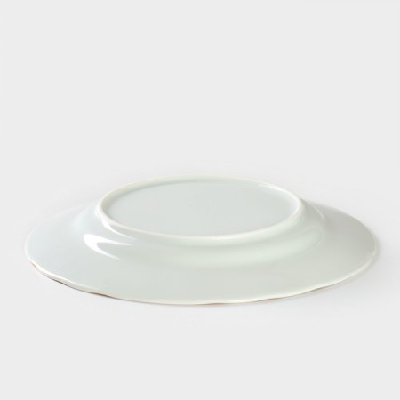 Porcelain plate "Hope. Stylish ", D = 24 cm-2