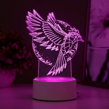 Light "Bird" Led RGB from the network 13.5x9.5x16.9 cm Risalux-6